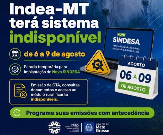 Imagem da Notícia