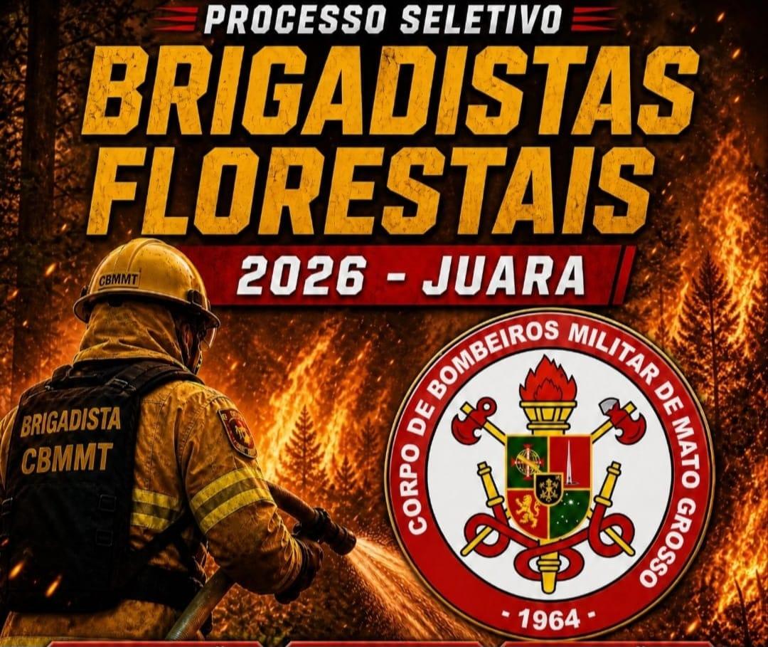 Imagem da Notícia
